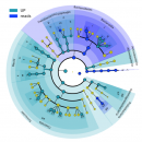 The 2nd International Metaproteomics Symposium